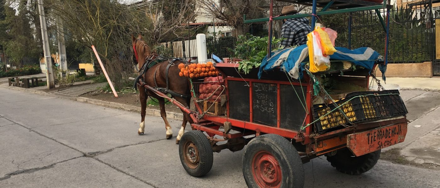 Foto-ensayo: Economía informal en tiempos de pandemia